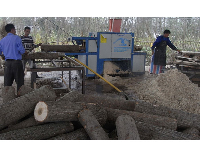 圓木多片鋸-安徽合肥舒城加工現(xiàn)場