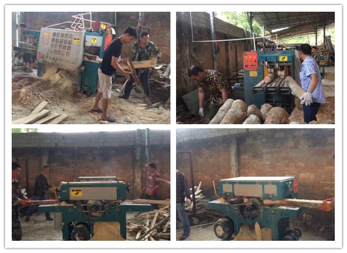 南海三亞--雙排鏈原木多片鋸、簡易板式多片鋸工作圖