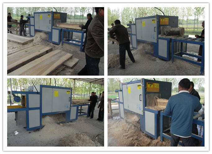 河南信陽--原木多片鋸