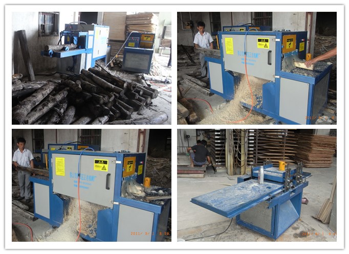 安徽蕪湖-原木多片鋸、清邊機(jī)工作圖