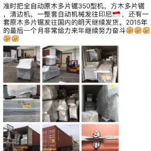 2017年發(fā)貨國外rn400-250型原木多片鋸生產(chǎn)線 ，鋸木機(jī)生產(chǎn)線