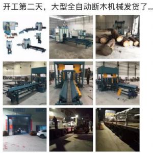 2017年發(fā)貨國內(nèi)250型原木斷木機(jī)生產(chǎn)線 圓木截木機(jī)，鋸木機(jī)生