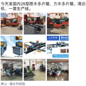 2017年3月發(fā)貨國內(nèi)250型原木多片鋸生產(chǎn)線 圓木多片鋸，方木多