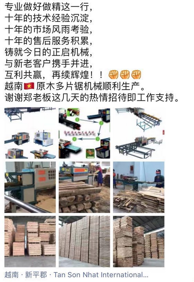 越南客戶-250原木多片鋸 100方木多片鋸 50清邊機(jī)