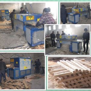 河南-南陽(yáng)-原木多片鋸350-方木70多片鋸加工現(xiàn)場(chǎng)