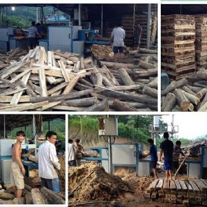 圓木多片鋸-越南-廣寧省-先安250型機(jī)加工現(xiàn)場