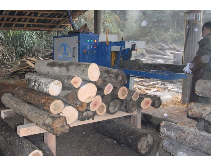 湖南省-韶陽(yáng)市-圓木多片鋸250機(jī)型加工現(xiàn)場(chǎng)