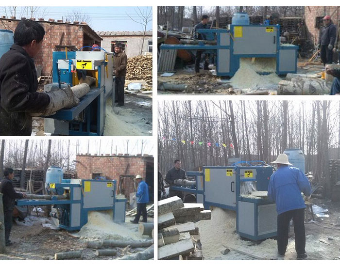 原木多片鋸-河北-石家莊-辛集市-加工現(xiàn)場